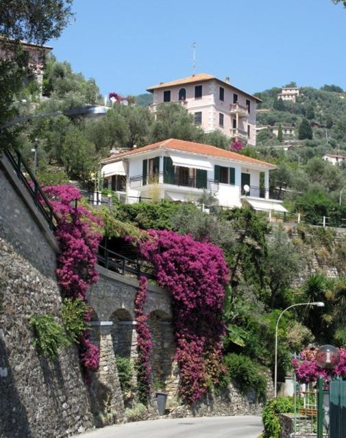 B&B The Dream Zoagli Dış mekan fotoğraf